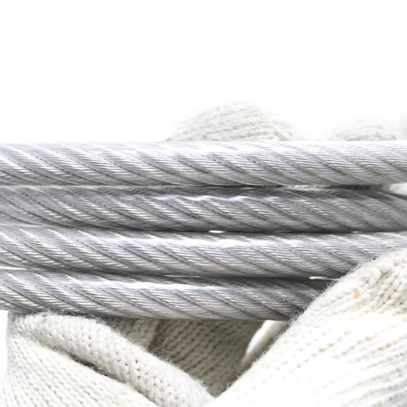 Nylon Coated Wire Rope 7*7 Ss  - Stainless Wire Ss316 avis et prix