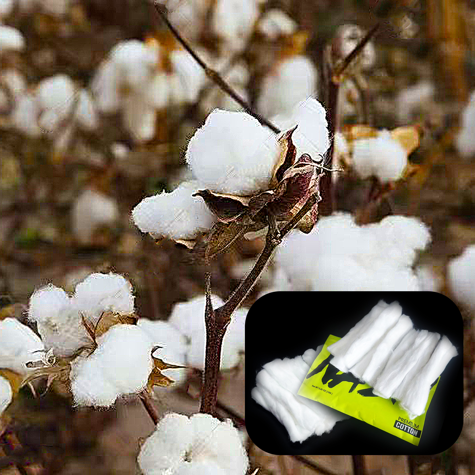 10/5/3Packs Home DIY Natural C - Cotton Wick Organic avis et prix