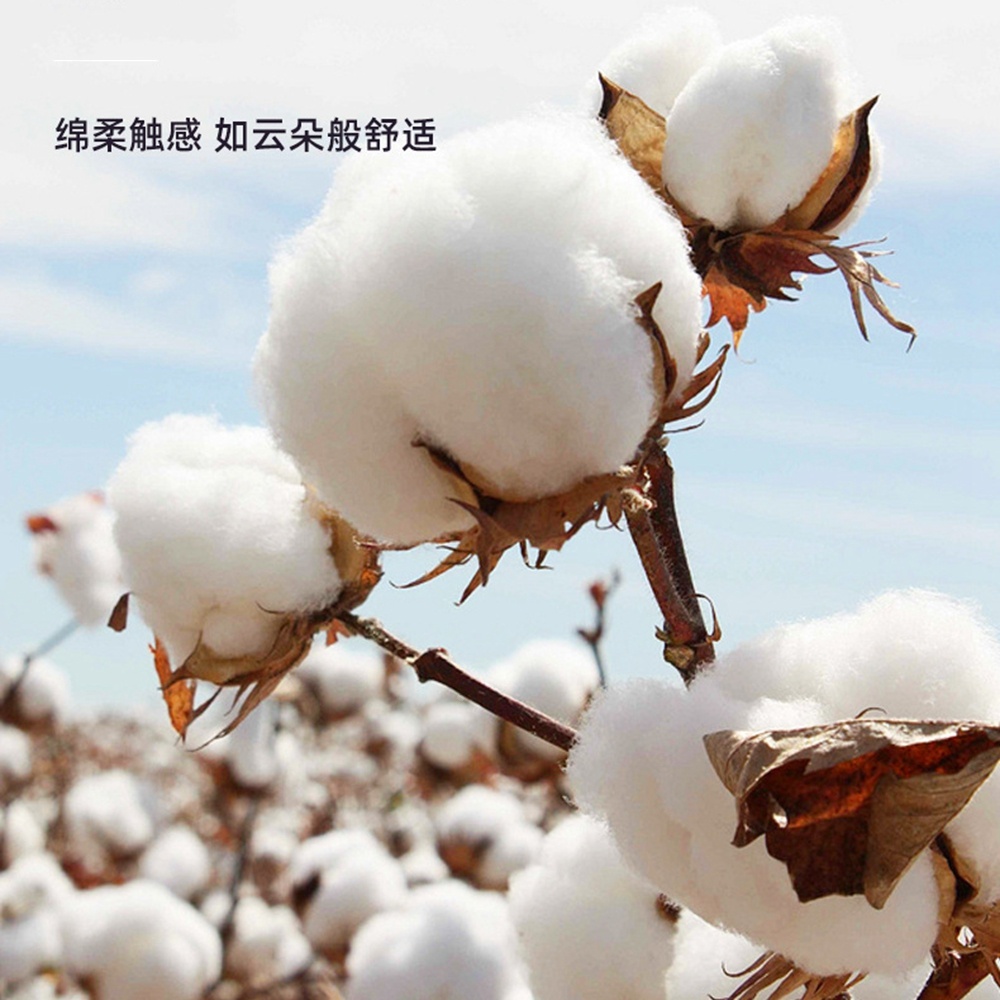 5.0/3.0/2.5mm Rubber Head Orga - Cotton Wick Organic avis et prix
