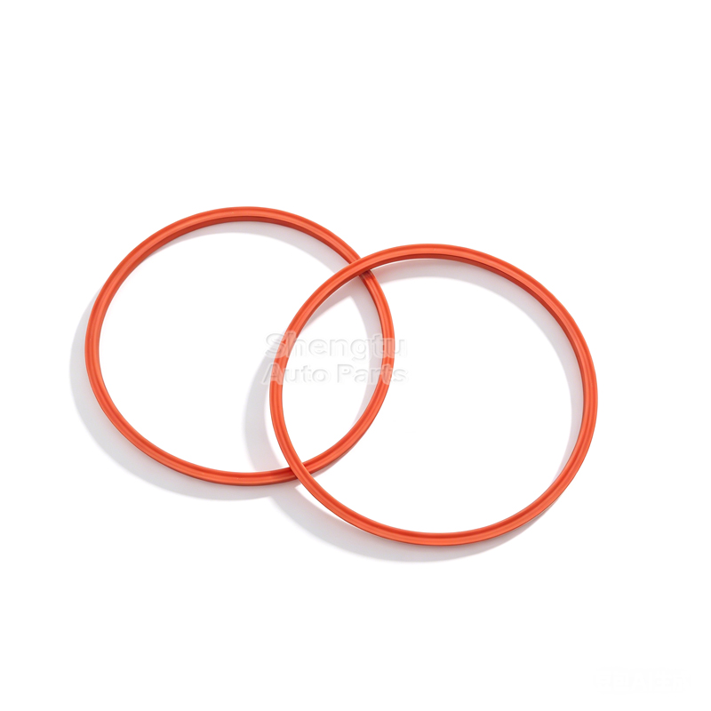 2Pcs Fuel Pump Tank Seal O-Rin - Tank O-Ring Seal avis et prix