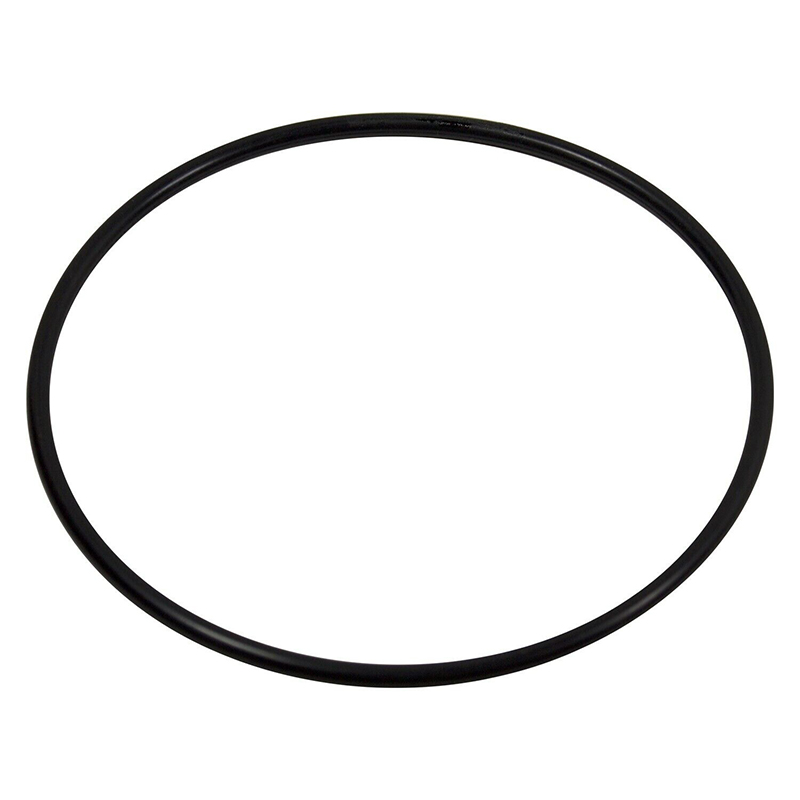 O-Ring For Nissan Patrol GQ Y6 - Tank O-Ring Seal avis et prix